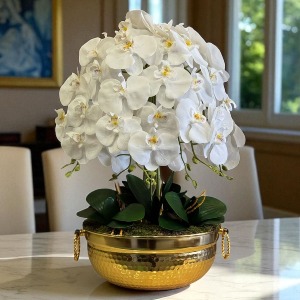 Orkideler
